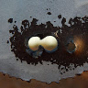 Meet your Posher, Kimi